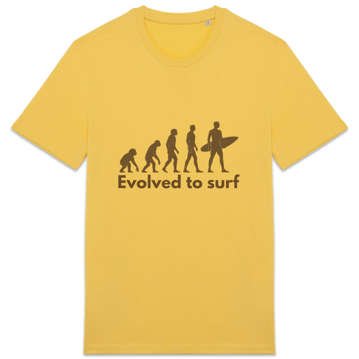 Evolved to surf
